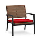 Rocha Lounge Chair with Cushion