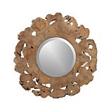 Root Mirror