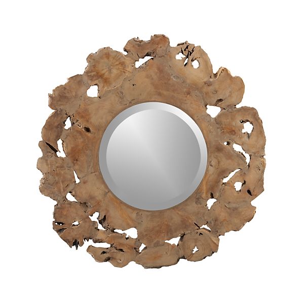 RootMirrorS13