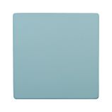 Roscoe Blue Square Platter