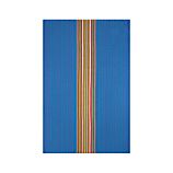 Salsa Dos Blue Dishtowel