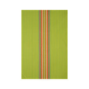 Salsa Dos Green Dishtowel