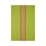 Salsa Dos Green Dishtowel