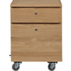 Sentry II Oak Filing Cabinet.