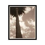 Sepia Palm Print