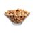 SnacksBowlAVF12