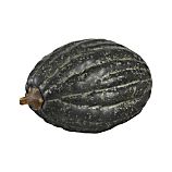 Squash