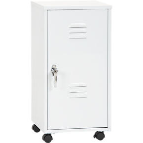 Storage Locker with Casters