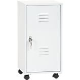 Storage Locker with Casters