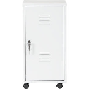 Storage Locker with Casters