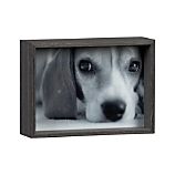Stratton 5x7 Frame