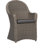 Summerlin Arm Chair with Cushion