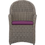 Summerlin Arm Chair with Sunbrella® Phlox Cushion