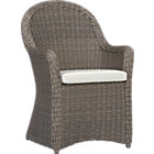 Summerlin Arm Chair with Cushion