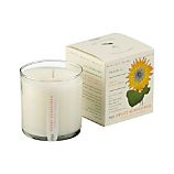Sweet Sunflower Scented Candle