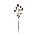 Thistle Stem