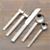 TiempoPlacesetting5PcS13