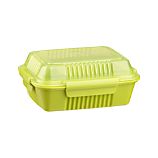 Large Green To-Go Container