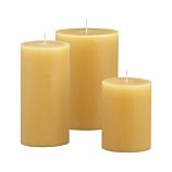 Tupelo Ceylon Pillar Candles