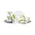 Verena16pcDnrwrSetF10