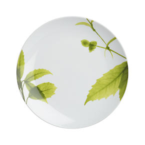 Verena Salad Plate