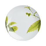 Verena Salad Plate