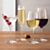 VivStemwareAB09