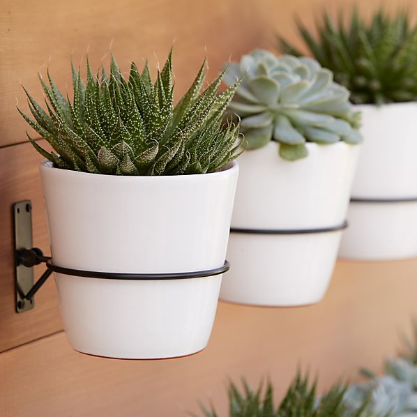 Wall Planter Hook