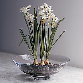 Water Lily 12.5 Bowl