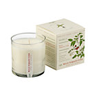 Wild Tomato Vine Scented Candle.