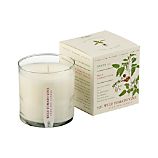 Wild Tomato Vine Scented Candle