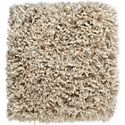 Rug Swatch.