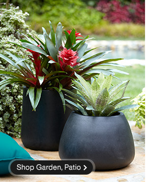 Garden, Patio