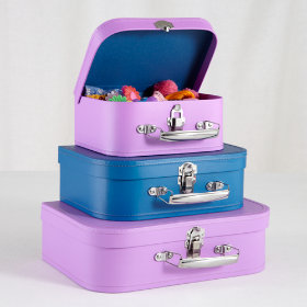 Bon Voyage Suitcase Set (Purple/Blue)