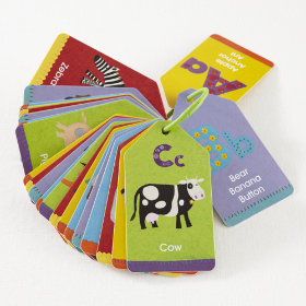 Animal Flashy Flash Cards