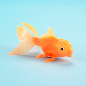 All That Glitters Is Goldfish