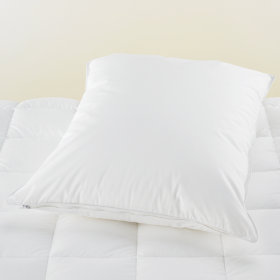 Standard Pillow Protector