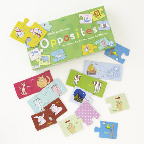 Opposites Word Puzzle