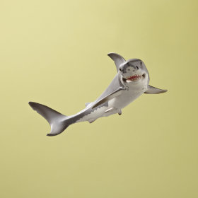 White Shark